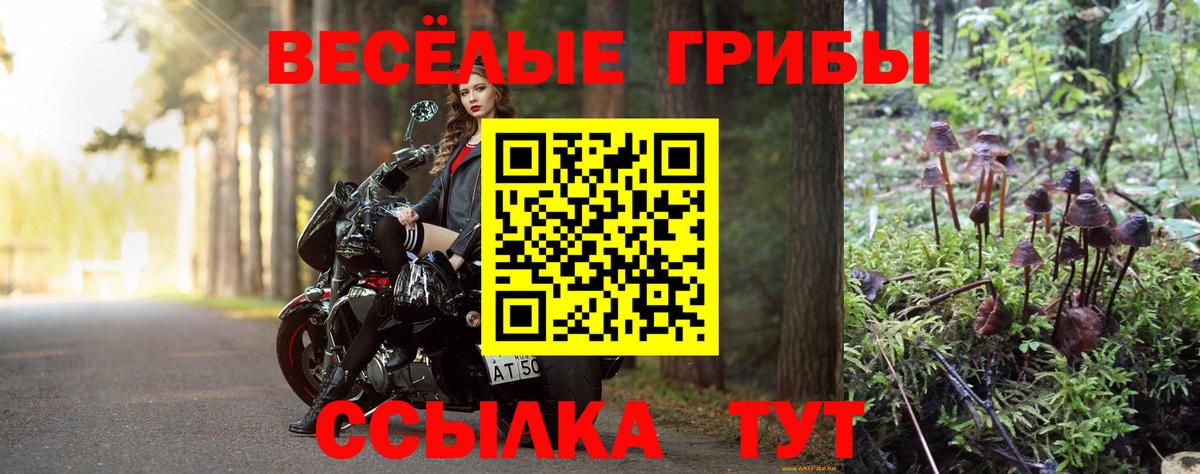 Галлюциногенные грибы Cubensis  Вход с VPN  Феодосия 